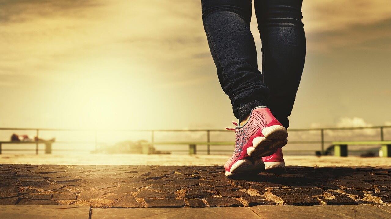 calculate calories burned walking